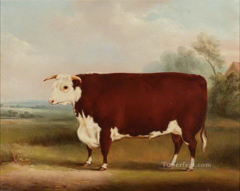 cattle 07 2 Oil Paintings